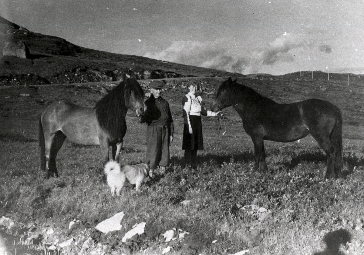Ola K. Haalien med hesten Bruna og Sigrid Haalien med hesten Bjøra. Bildet er take ved Bygdin. Vi ser vegen over Valdresflya mot Jotunheimvegen.