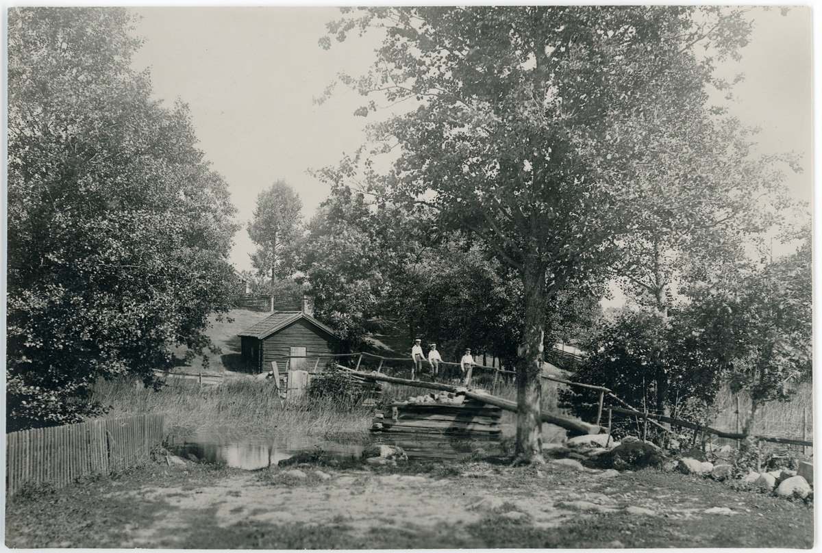 Människor på spång över vattendrag i Danskebo, Härnevi socken, Uppland 1925