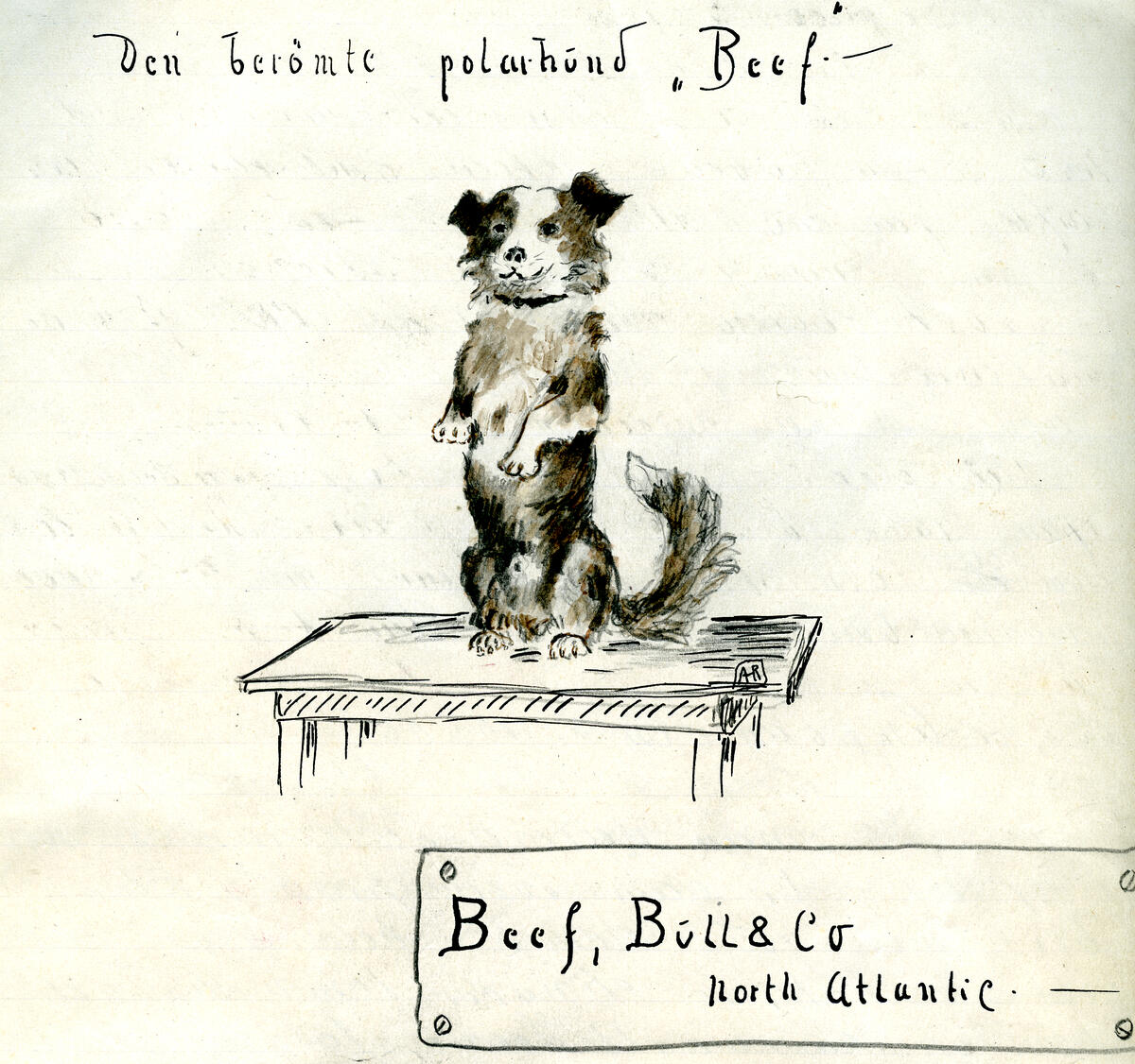 Tegning av en huns som står på på et bord. Han sitter på rumpa og løfter forlabbene (Foto/Photo)