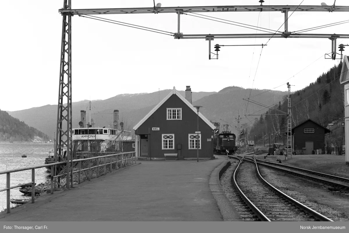 DF Ammonia ved fergeleiet på Mæl stasjon. Til høyre Rjukanbanens elektriske lokomotiv nr. 10