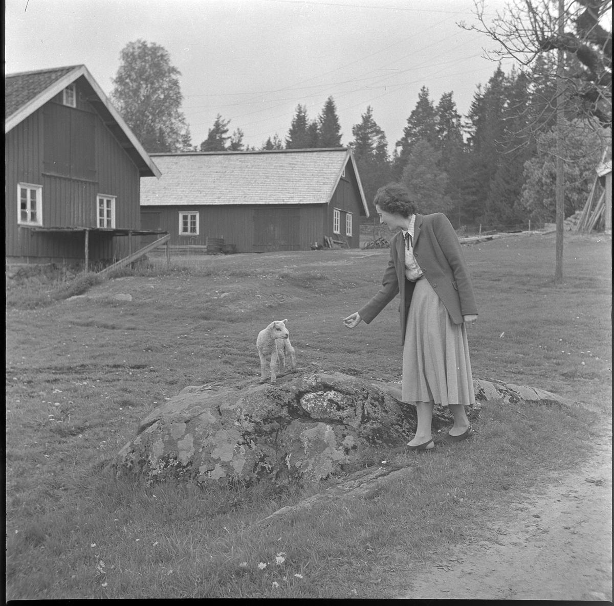 Gården Läkarebo, Ödenäs sn. Karls hustru Kerstin. 21 maj 1950