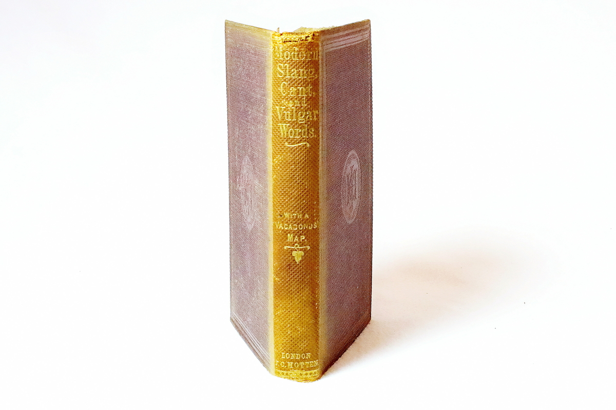 Dictionary Modern Slang, Cant, and Vulgar Words Nynorsk kultursentrum