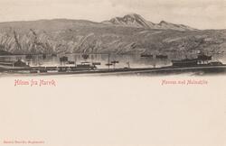 Narvik ved malmkaien