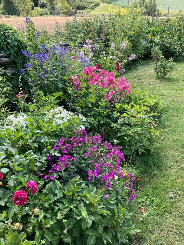 Hagen på Eidskog bygdetun Almenninga. Et bugnende blomsterbed i forgrunn. Skigard og jorde i bakgrunn. Grønne busker langs skigard.