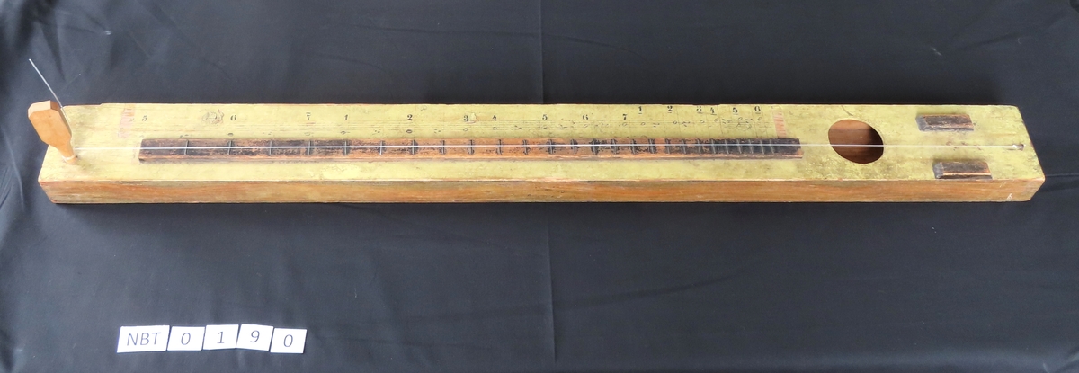 Salmodikon er et citerinstrument med en streng. Langs gripebrettet er det angitt tall som henviser til siffernoteskrift. Man spiller ved å bruke en fiolingstreng eller en finger.