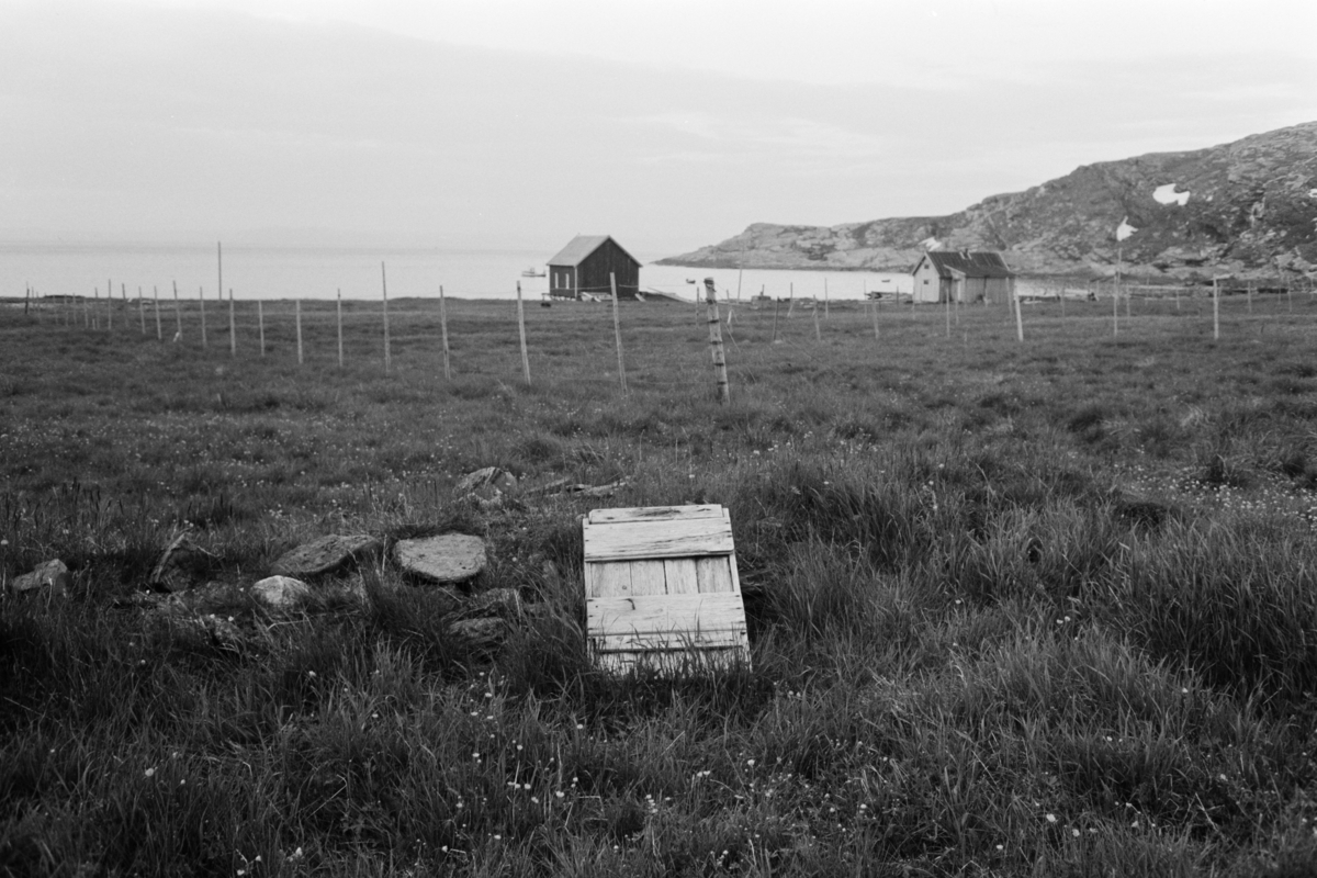 Kirkegård i kystlandskap.