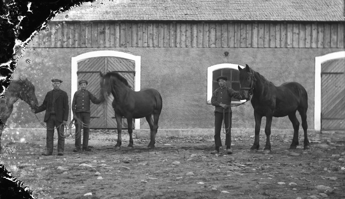 Marbogård (Jannes), Sällstorp 6. Tre ynglingar står utanför stallet /ladugården och håller var sin häst. 
(Negativet skadat i vänster sida. Se även bild nr GEA121)