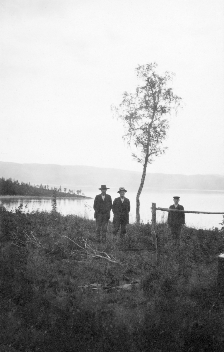 Tre menn ved enslig bjørketre i Furutangvika ved Tunnsjøen i Namsskogan.  Opptaket er gjort i dårlig lys, slik at herrene og treet framstår som silhuetter mot den bakenforliggende sjøflata. 