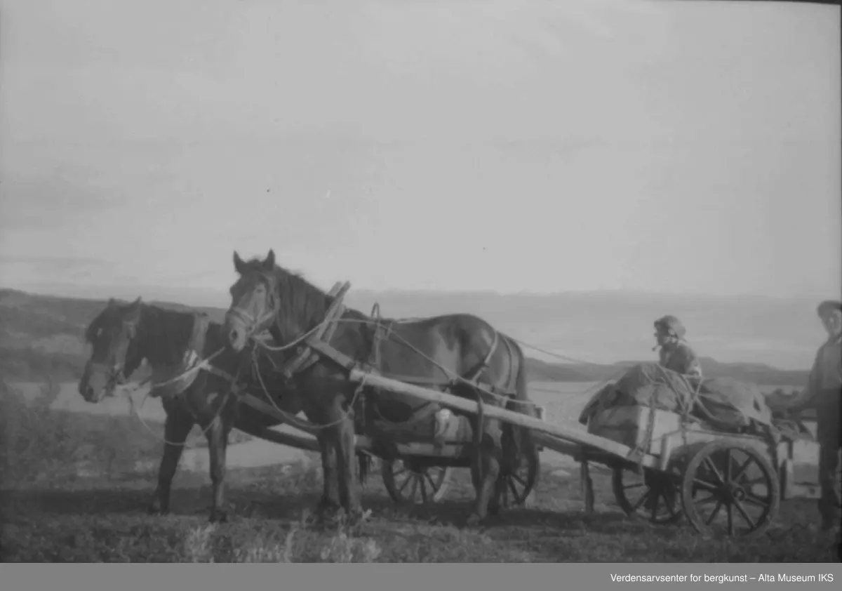 hester-vogn-med-mennesker-verdensarvsenter-for-bergkunst-alta
