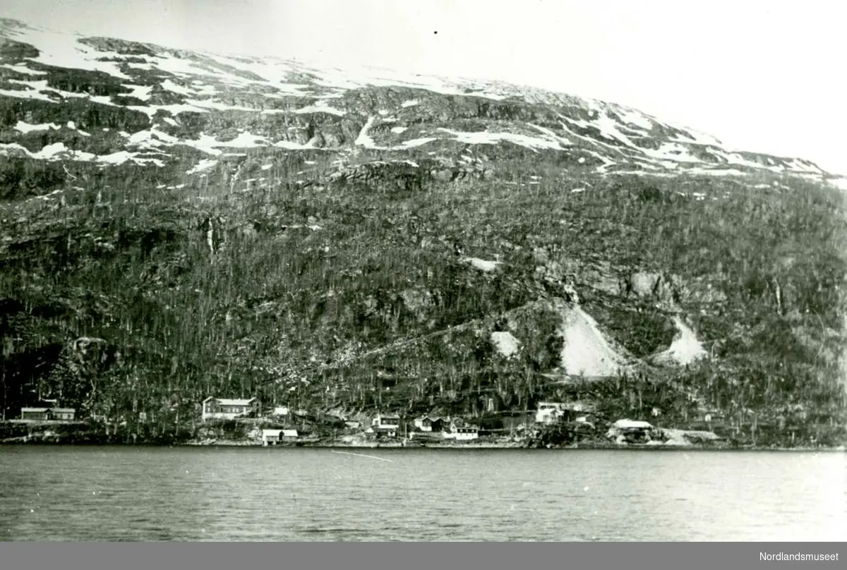 Furulund. 
Ca 1903. 

Foto Ukjent.