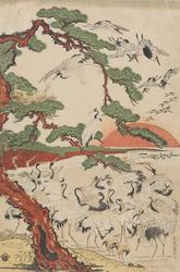 Traner og furutre i soloppgang [Grafikk]