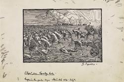 Illustrasjon til "Magnus den Godes Saga" i Snorre Sturlason,