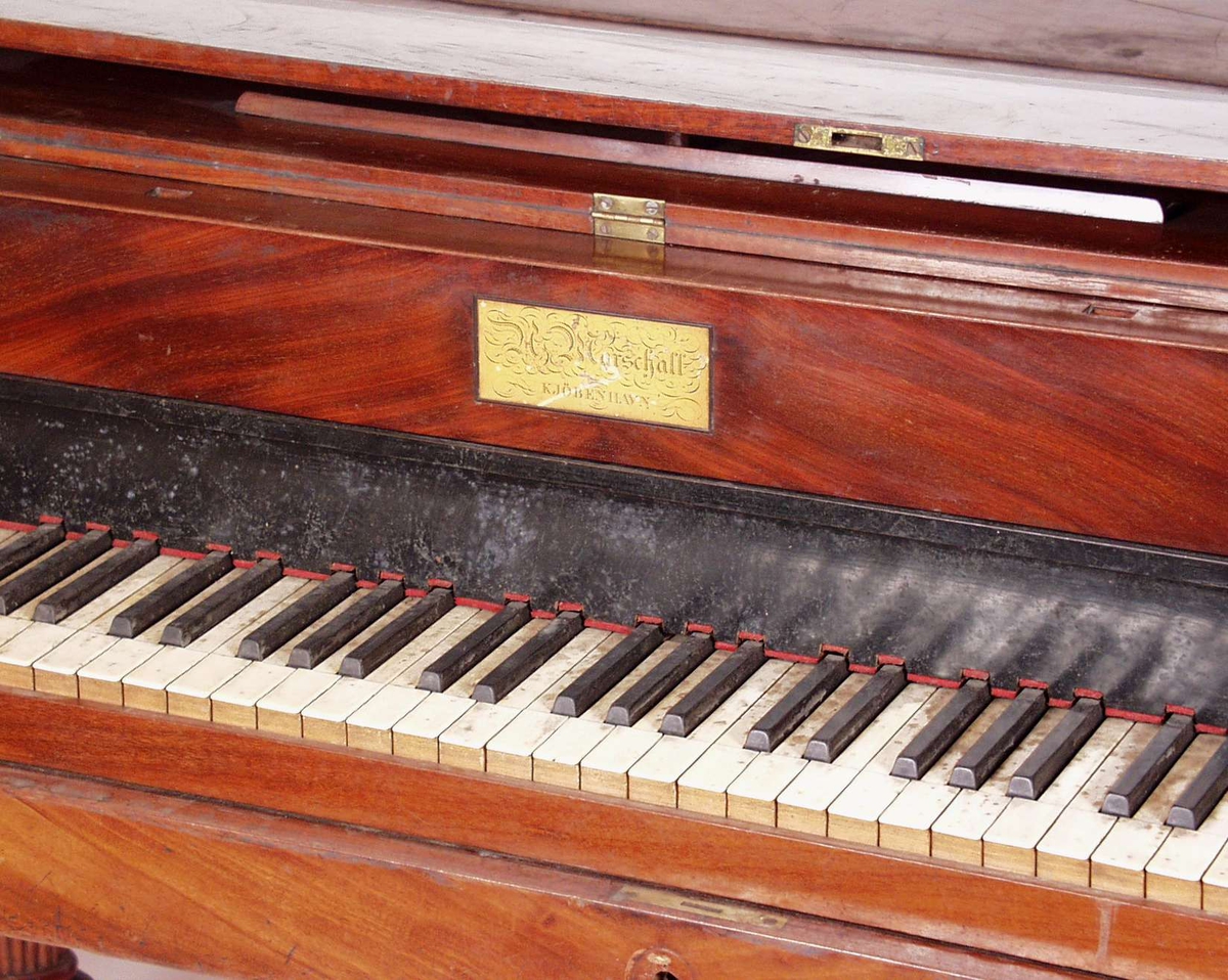 Et pianoforte i gran som er finért. Klaviaturet på pianofortet er uttrekkbart og er løst. Pianoet har fire dreide utskårede ben med tobåndsflette og bladkrans dekor. Det har seperat pedalbetjent demper i mahogny.
Omfang: Cc-g4