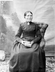 Pro: 07.06.1895. Holien, Ragnhild G. Helfigur.