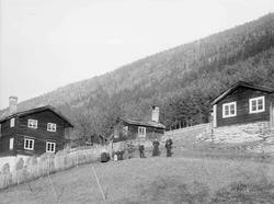 08.10.1909. Gården Haugen, Sel. Bolighus, uthus, gjerder, sk