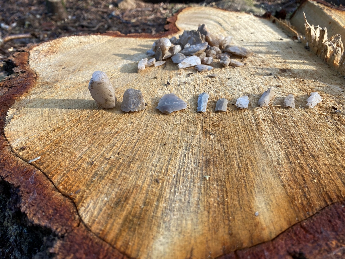 Fina flint- och kvartsfynd från den arkeologiska undersökningen vid stenåldersboplatsen L1970:2792 i Höreda socken i Eksjö kommun, Jönköpings län, hösten 2021.