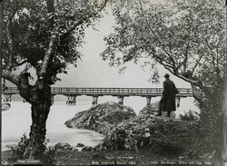 Bru over Opa  ved Odda i Hordaland 1880-1890