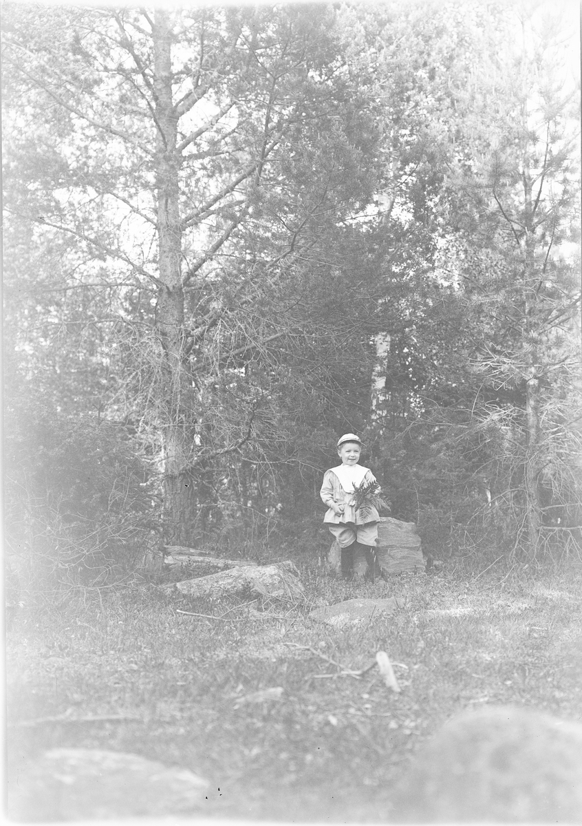 David Edhlund står vid en sten med ormbunksblad i handen, Östhammar, Uppland