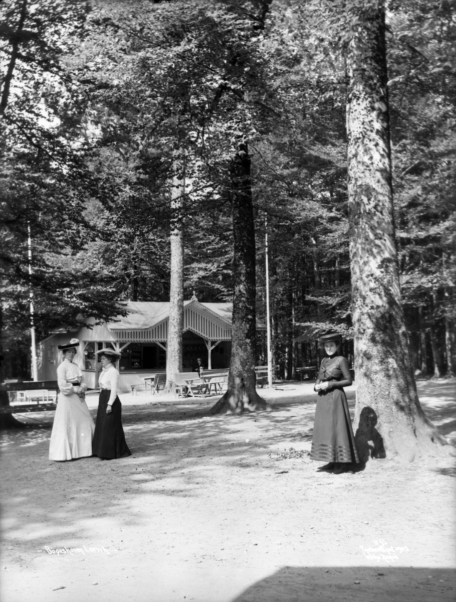 Larvik - Bøgeskogen Julius Hansens paviljong 21. juli 1903