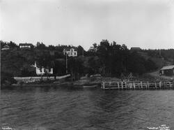 Prot: Hvitsten Fra Fjorden Dampskibsbryggen 19 Juni 1902