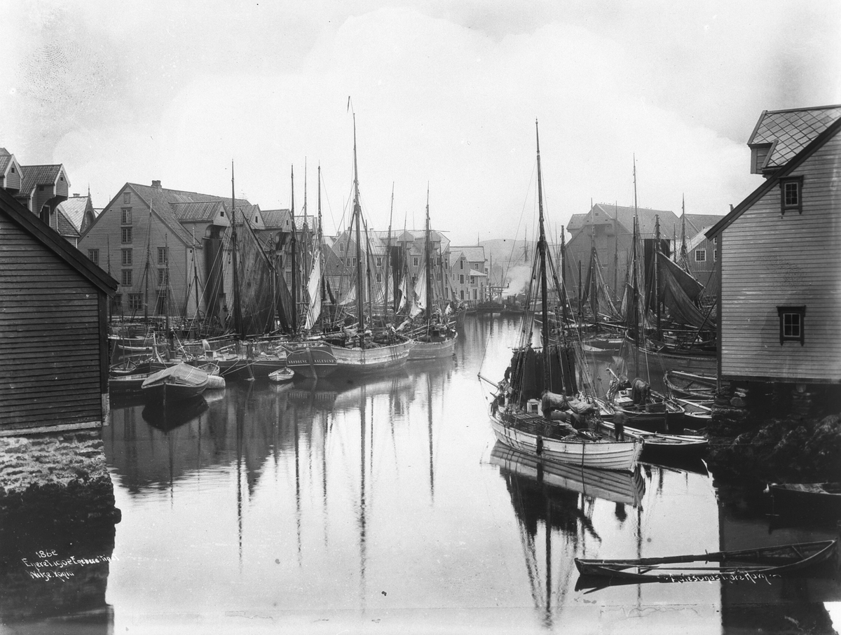 Aalesund - Fiske indre havn 26. sep. 1902