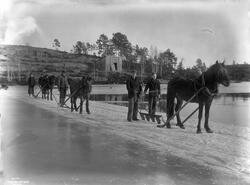 Prot: Isskjæring med Heste Kragerø 14/2 1908