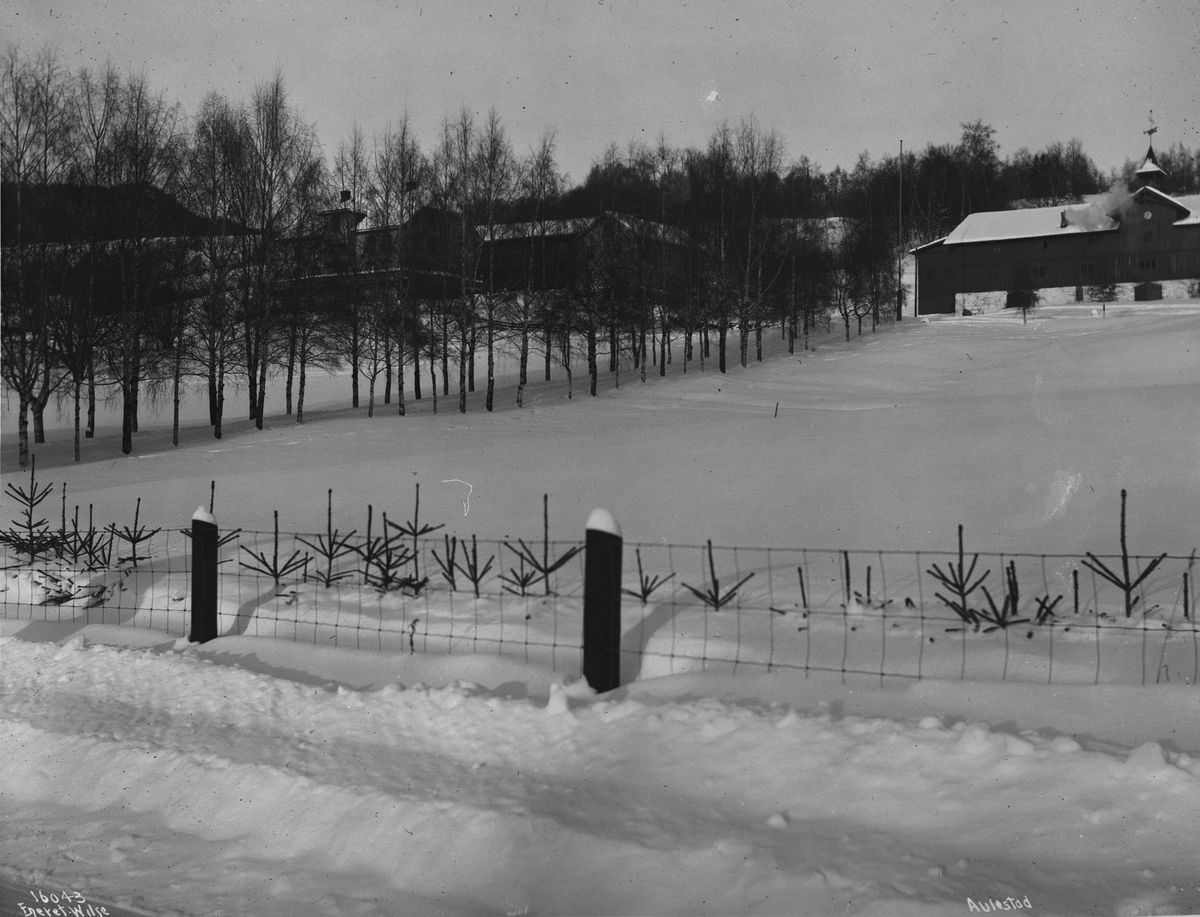 Utsikt mot Aulestad gård fra veien, Gausdal, Oppland, 1913.