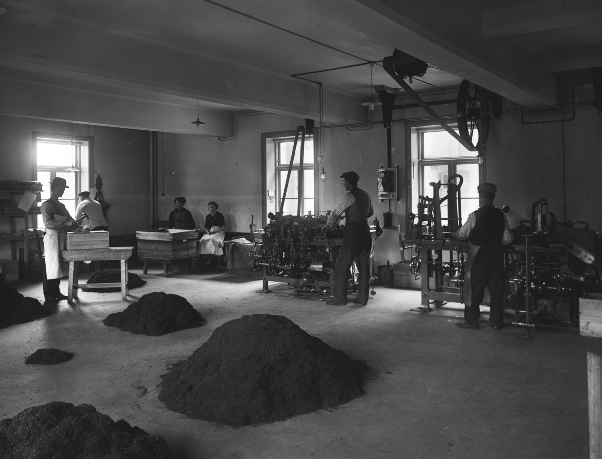 Langaards Tobakkfabrikk, hauger med antatt tobakk på gulvet, spikring av kasser og arbeidere ved maskinene.