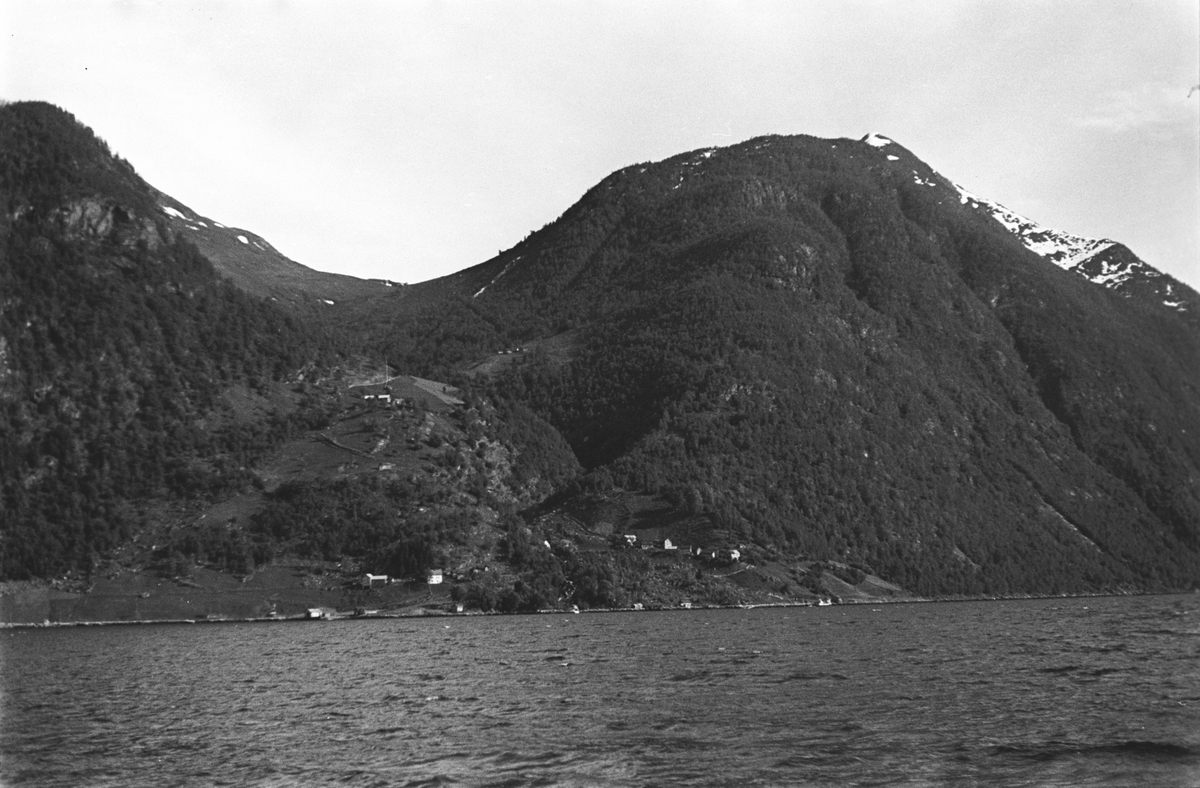 Høye, trekledde fjell stuper ned i sjøen.  Bebyggelse langs fjorden.