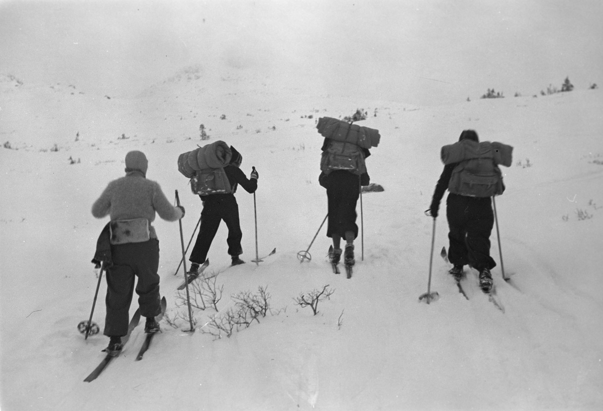 Fire påsketurister på ski med ryggsekker. Fotografert 1940.
