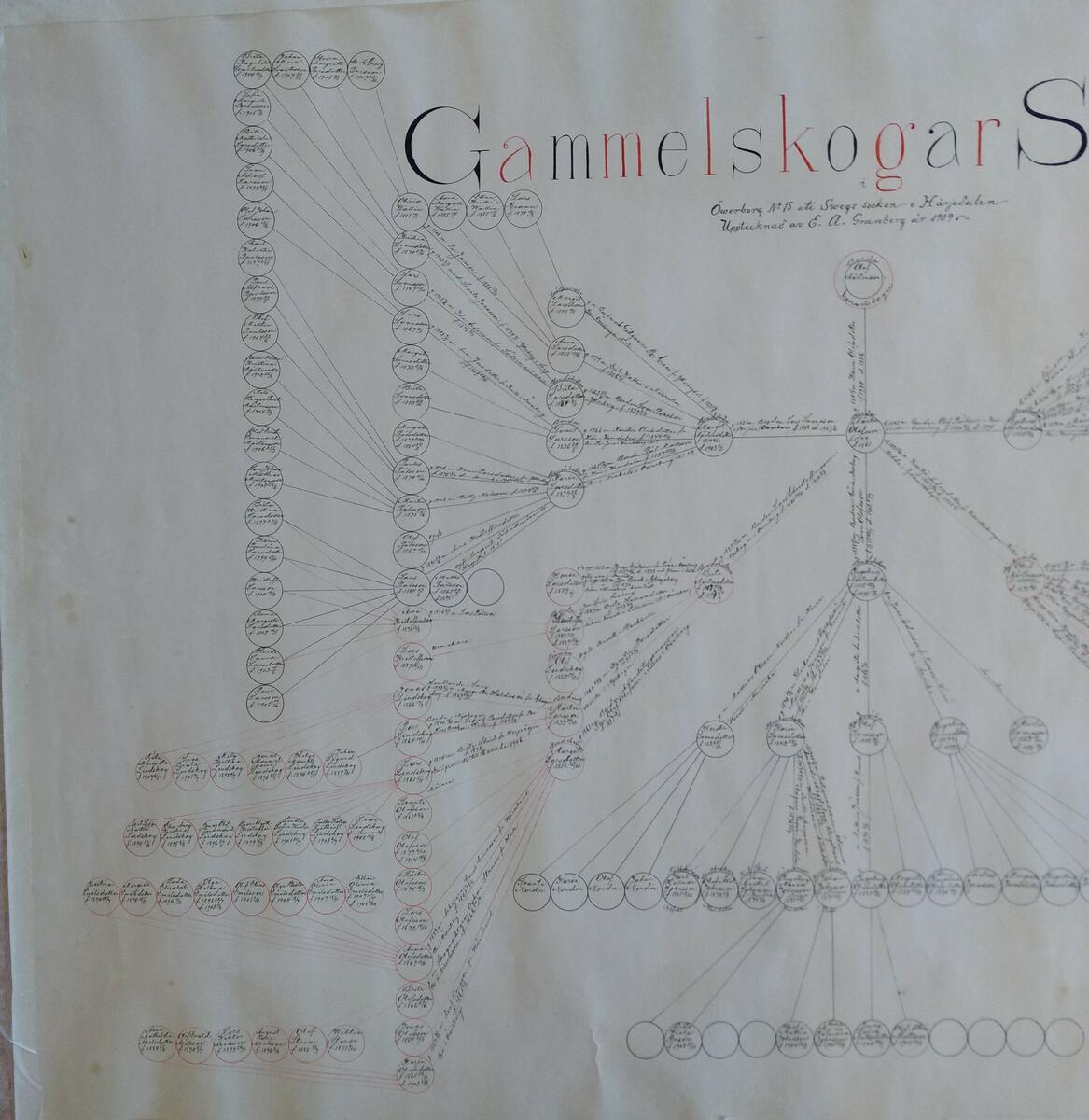 Släkttavla över Gammelskogar släkten i Öwerberg N:o 15 uti Swegs socken i Härjedalen. Upptecknad E.A Granberg år 1909.