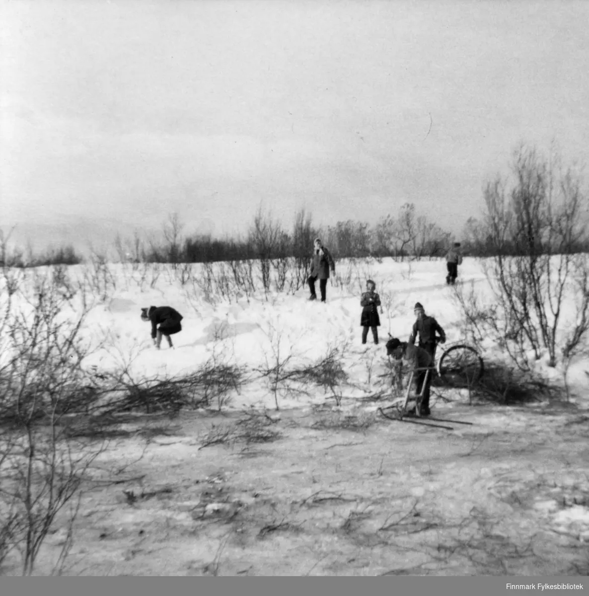 Bilde tatt vinteren 1962 fra Hildurbekken, som renner ut i Meskfjorden (første bru mot Vesterelv). Arnfinn Moen ved sparken og Svanhild Karlsen i skjørt. De andre er ukjente.