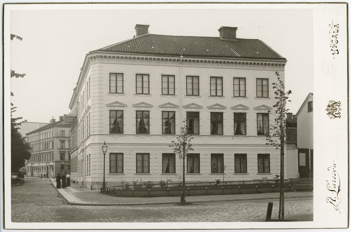 Kabinettsfotografi - kvarteret Kroken, Uppsala 1905