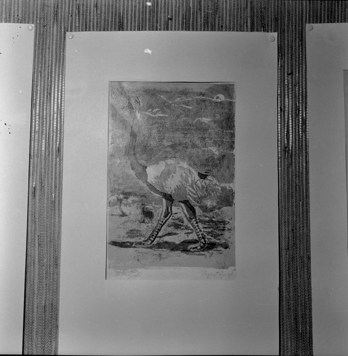 Ustilling av silketrykkbilder laget av barn fra Døveskolen i Nordenfjeldske Kunstindustrimuseum