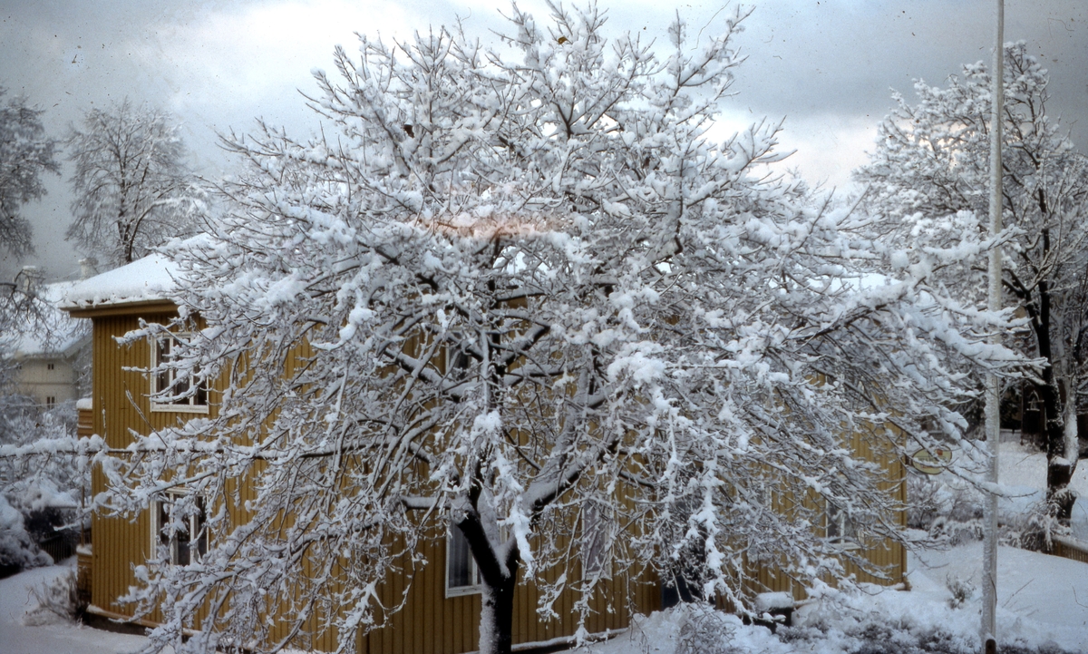 Snøfall sett fra Ragnhilds gate 1A