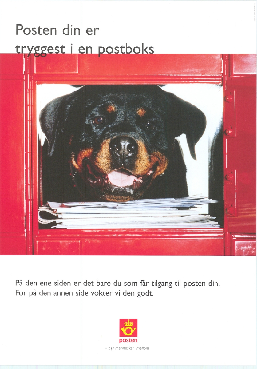Plakat med bildemotiv av en hund, tekst, og logomerke.