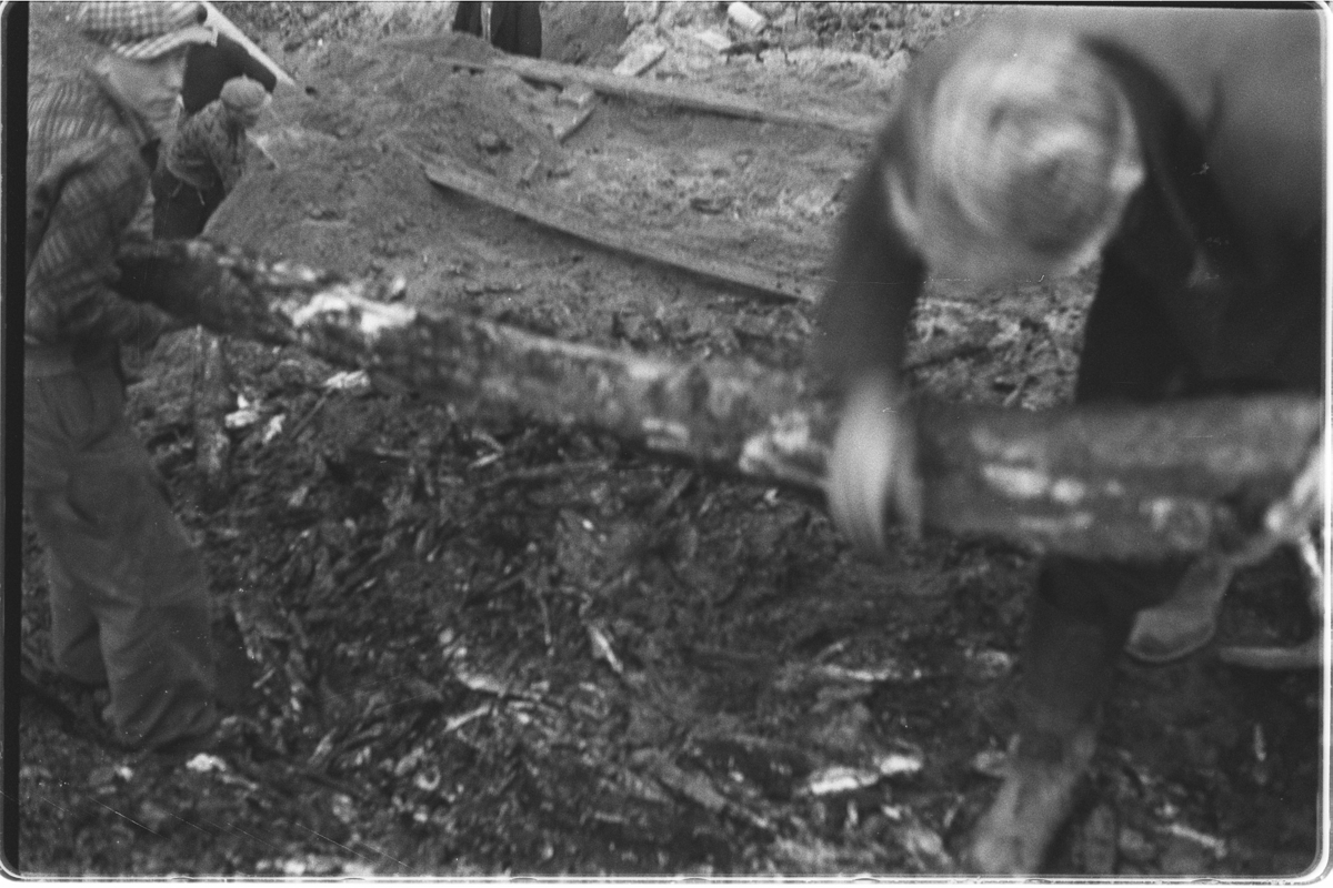 Utgraving av Raknehaugen i Ullensaker. Tømmeret bæres bort.