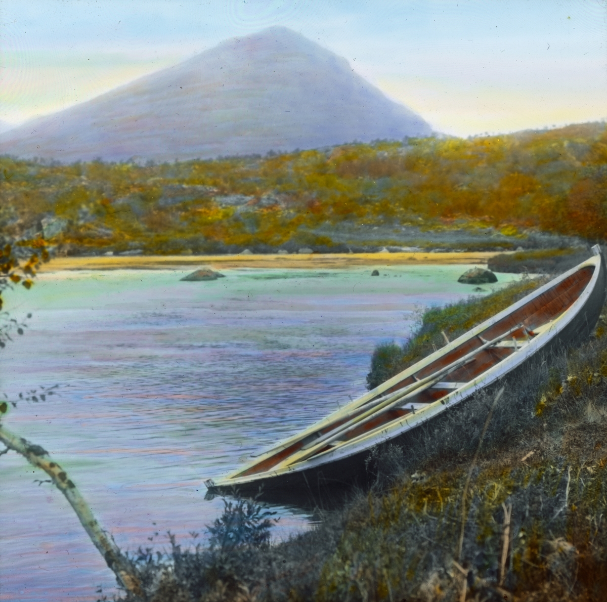 Håndkolorert dias. En robåt ligger i vannkanten ved vannet Abiskojaure. I bakgrunnen ses fjell og vidde. Til venstre i forgrunnen strekker en bjørk seg ut i vannet.
