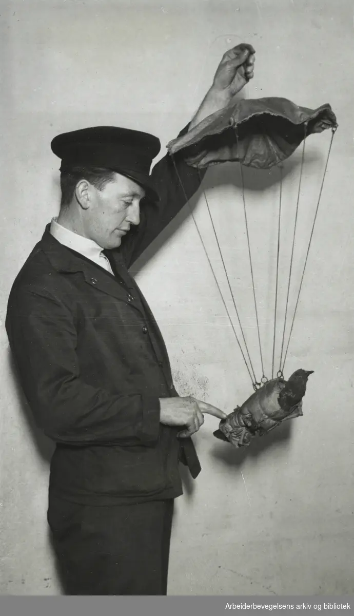 Imperial War Museum i London. Modell av brevdue i fallskjerm. Brukt under 1. verdenskrig. Arbeidermagasinet/Magasinet for Alle. Udatert