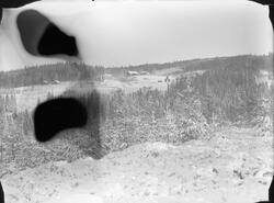 Fotosamling etter fotograf og skogsarbeider Ole Romsdalen (1