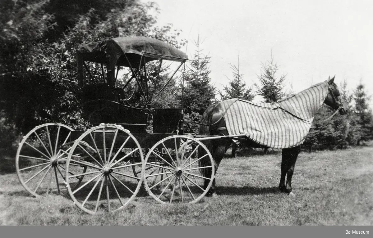 Tjønntveit - hest og vogn i USA
