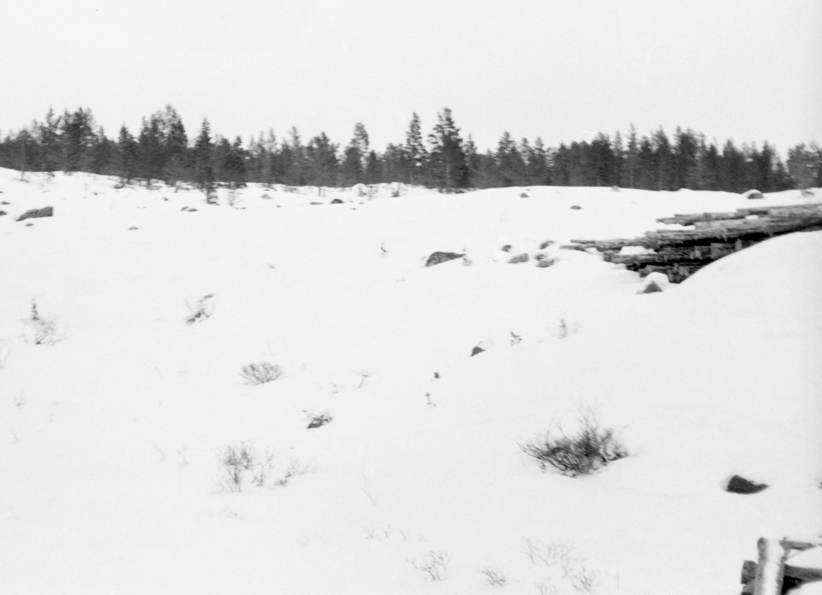Snødekt landskap ved Bjørnstaddammen i elva Murua, et sideløp i Sjoavassdraget i Gudbrandsdalen. Til høyre i bildet ser vi den ene enden av ei lunnevelte med barket tømmer. Bjørnstaddammen ligger i den øvre delen av dette vassdraget, ved utløpet av Nørdre Murulona, ved grensa mellom kommunene Nord-Fron og Sel. Fotografiet er tatt vinterstid. Murua kommer fra disse myrområdene sør for Murudalsvatnet og renner nordover gjennom Murudalen og Meringsdalen via Meringsdalsvatnet før den under navnet Nermuru faller inn i Sjoa like sør for Nedre Tråsåfossen. Murua skal være om lag to mil lang. Den var fløtbar fra Murudalsvatnet og nordover. Elveløpet var imidlertid steinete, noe som innebar at tømmeret hadde lett for i sette seg fast på ører. Dette fotografiet ble tatt i 1963.

Fløtingsfunksjonærenes spesielle interesse for Bjørnstaddammen i 1963 skyldtes at tre grunneiere, som hadde vært i kontakt med fiskerikonsulent Trygve Løkensgard (1916-1995) ønsket seg en ny dam, en kombinert fiske- og fløtingsdam. Den eksisterende dammen hadde steinfylte tømmerkister. Reguleringshøyden var på cirka 2,3 meter, og magasinkapasiteten var om lag en halv million kubikkmeter vann. Når dammen var full hadde magasinet et vannspeil på cirka 400 dekar. Når den gamle Bjørnstaddammen sto åpen framsto mesteparten av dette arealet som beitemark og myr. Grunneiernes ønske ble forsøkt løst ved å bygge en ny dam med et permanent vannreservoar for fisk som skulle tilsvare omtrent størrelsen på det gamle dammagasinet når det var fullt. Dette vannet skulle ikke kunne tappes. Den nye dammen skulle imidlertid gjøres så høy at man oppå fiskedammen skulle kunne magasinere et tilsvarende volum uttappbart vann til fløtinga. Avløpet ble, som tidligere utført med steinfylte kister av malmfuru og med såkalte golvinger av tømmer som skulle forbygge utvasking. Den nye dammen skulle, som den gamle, ha nålestengsel. Når man ville fylle magasinet ble det altså stukket «nåler» - kraftige planker ned mot en terskel ved elvebotnen på motstrøms side av dambrua. Når disse nålene plassert tett i tett, med den nevnte terskelen og dambrua som anlegg, dannet de en vegg som midlertidig stengte vannflyten gjennom damløpet. Når fløtinga skulle starte, kunne man fjerne en del av nålene slik at man oppnådde ei vannføring i Muruas nedenforliggende elvefar som var gunstig for fløting. Det var fløtingsinspektør Oddvar Stenerud (1919-1997) i Glomma fellesfløtingsforening som ombygginga av Bjørnstaddammen, i samråd med Norges geotekniske institutt, som vurderte den sandholdige morenegrusen fra nærområdet som skulle brukes i samarmene og anviste hvor mye av denne massen som måtte til for å unngå uakseptabelt store vannlekkasjer gjennom damarmene. Den nye dammen ble bygd som et spleiselag mellom de tre grunneierne og tverrelvforeningen (antakelig Sjoa og Murua fellesfløtingsforening). Anleggsarbeidet ble utført sommeren 1963 og den nye fløtingsdammen var i drift fra 1964.