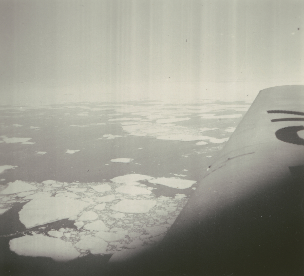 Fotografi från Albin Ahrenbergs resa till Grönland 1929. Vy över istäckt hav.