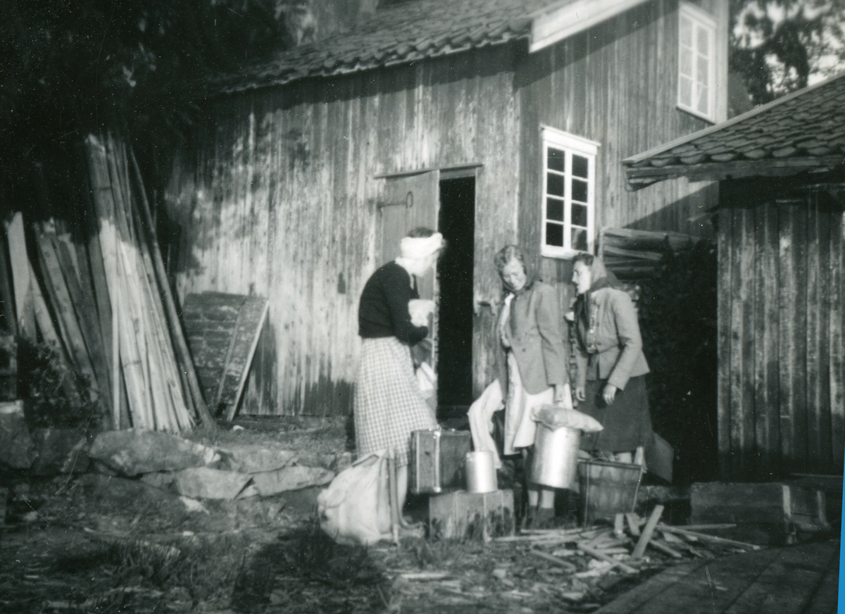 Badeliv i Bamble i 1947.  Dei var på hytte tilhøyrande Hvalvik.