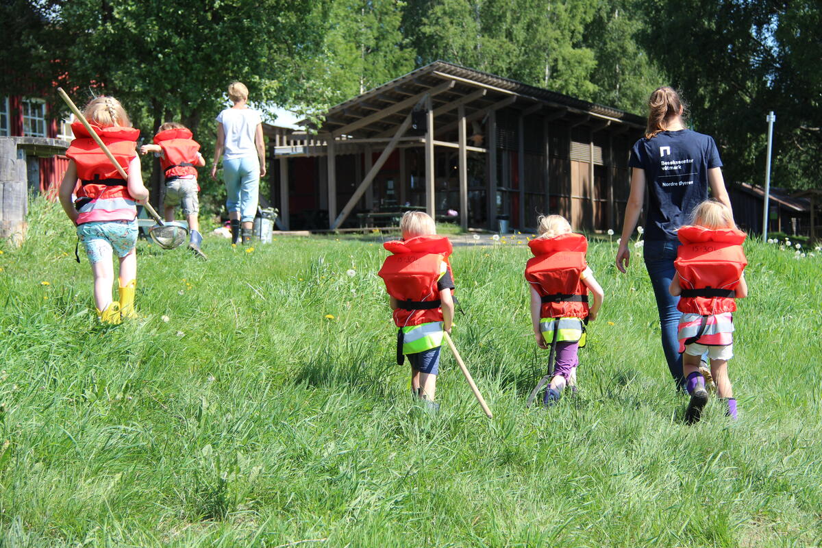 Foto av naturveileder sammen med flere barn som går på land etter å ha fanget insekter i vann