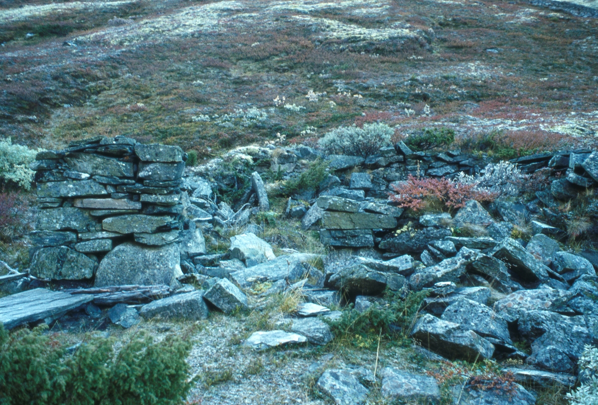 Grøtådalen, Tylldalen 1977