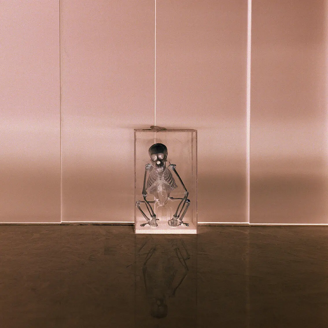 Image of a glass case with the skeleton of a small monkey. The image is negative, with a rose tint. Photograph.