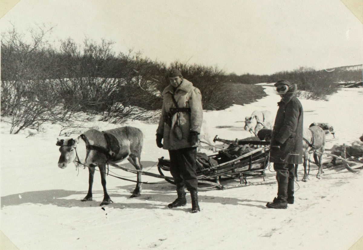 Bildet viser to soldater som står ved siden av fire reinsdyr med sleder. Soldatene er tykk kledd, en av dem har en snøbrille på. I bakgrunnen er det busker og landskapet er delvis snødekket.