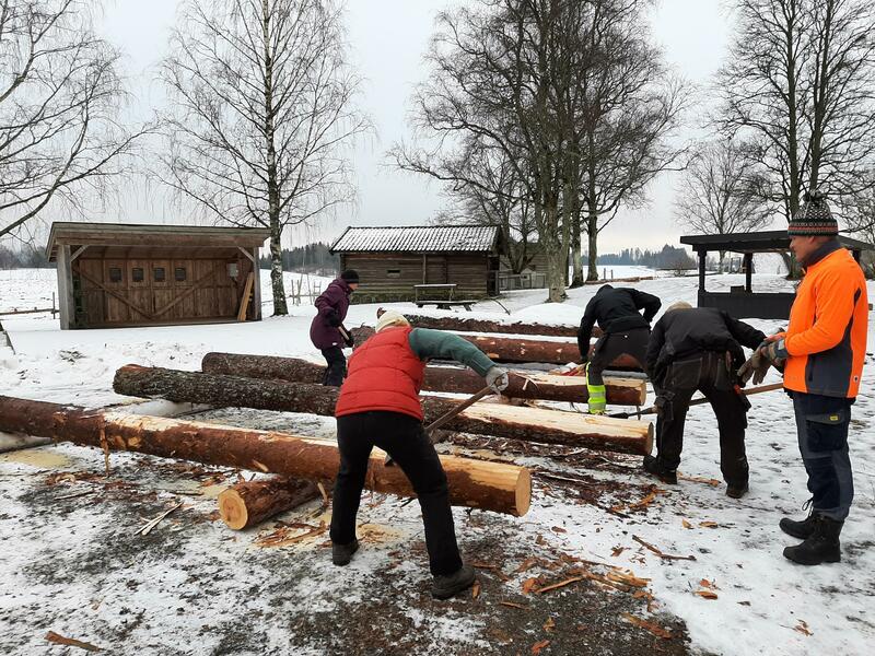 Bildet viser mennesker som barker tømmerstokker.
