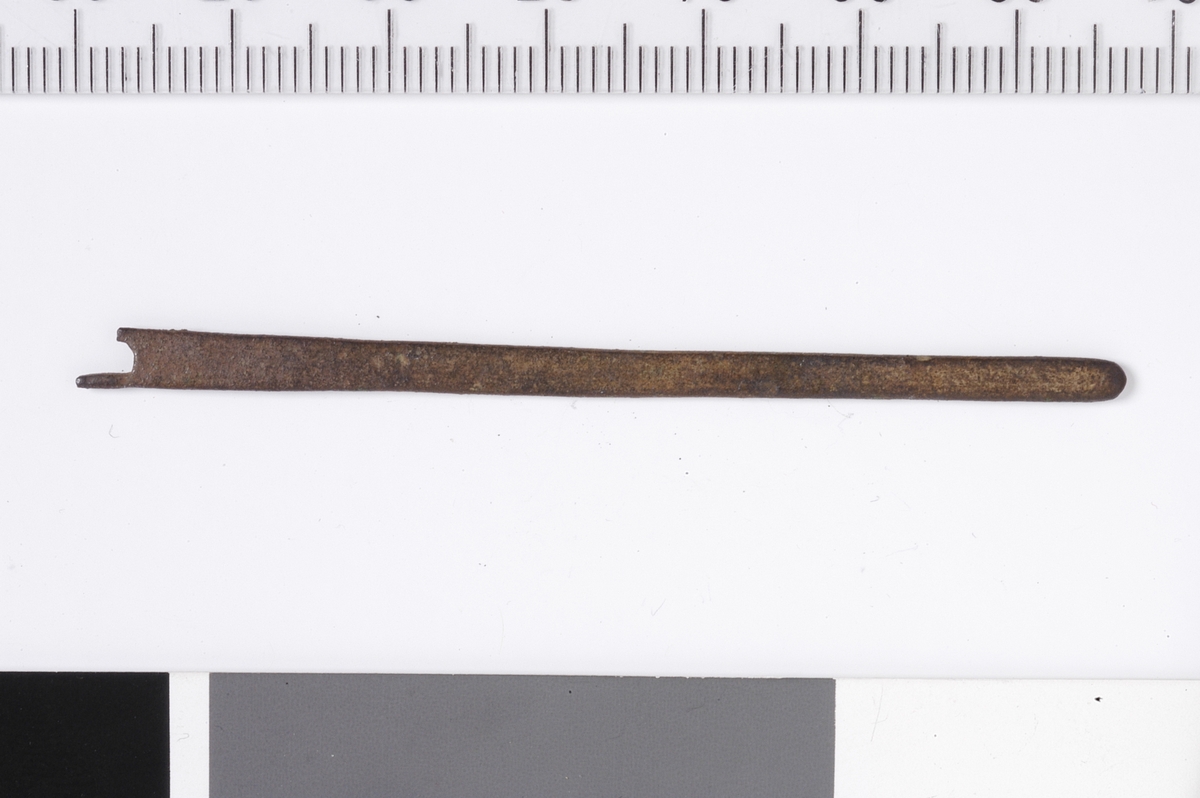 En stor nål med flat og relativt bred utforming.   Nåla har en buet ende og i motsatt ende sees deler av et stort nåløye.